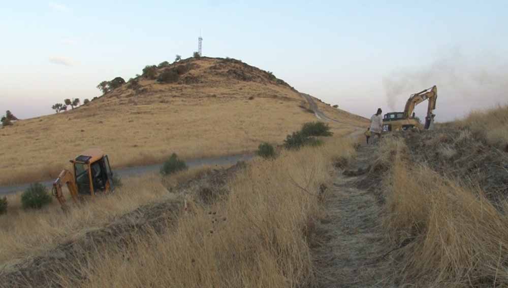 Şanlıurfa’da yeni bir ormanlık alan oluşturuluyor 1 4 79