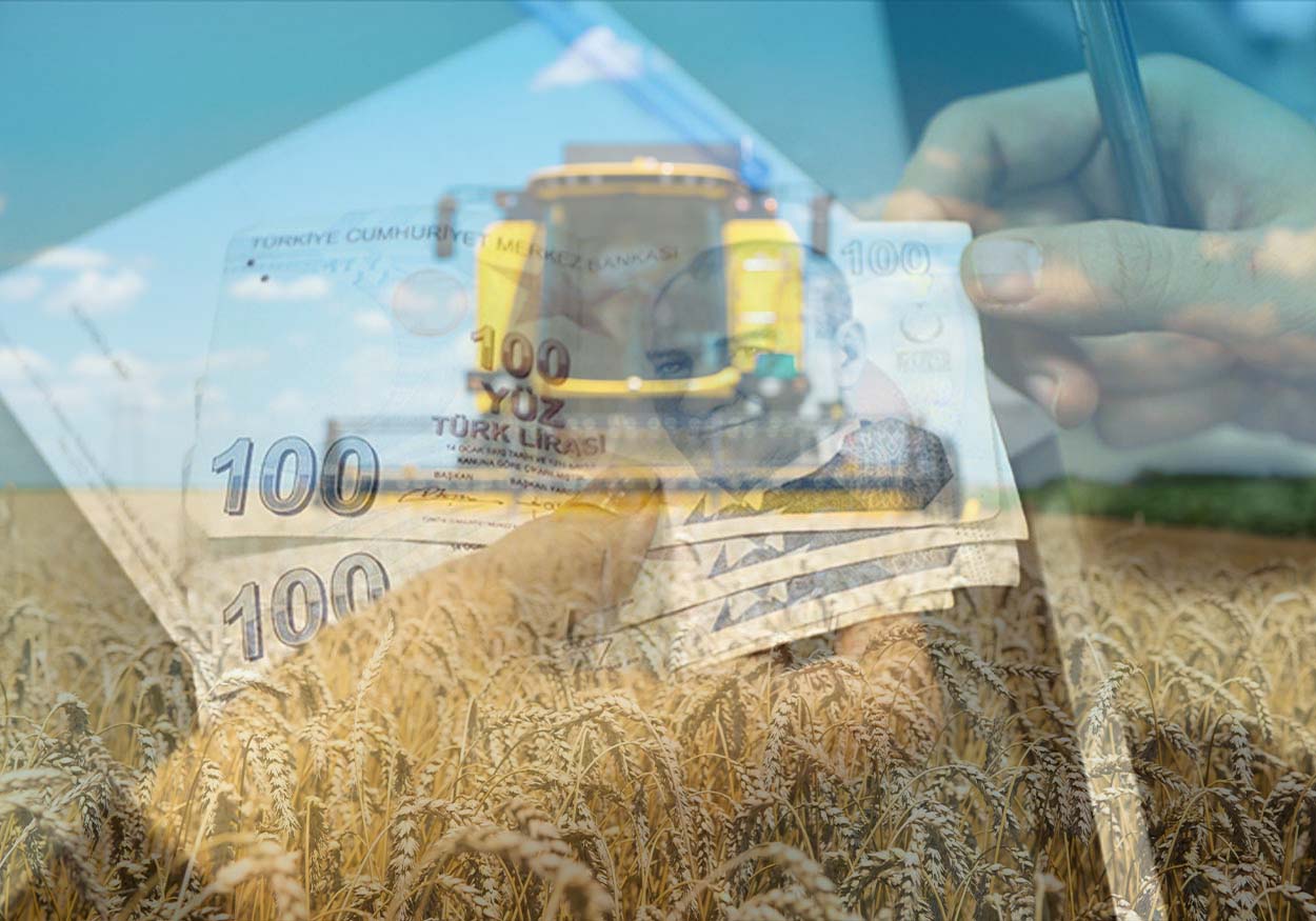 Tarımsal Destek Ödemeleri Bugün Yapılacak 2 tarım destekleme
