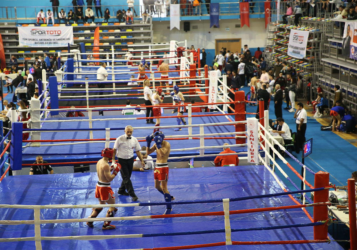 kıck boks