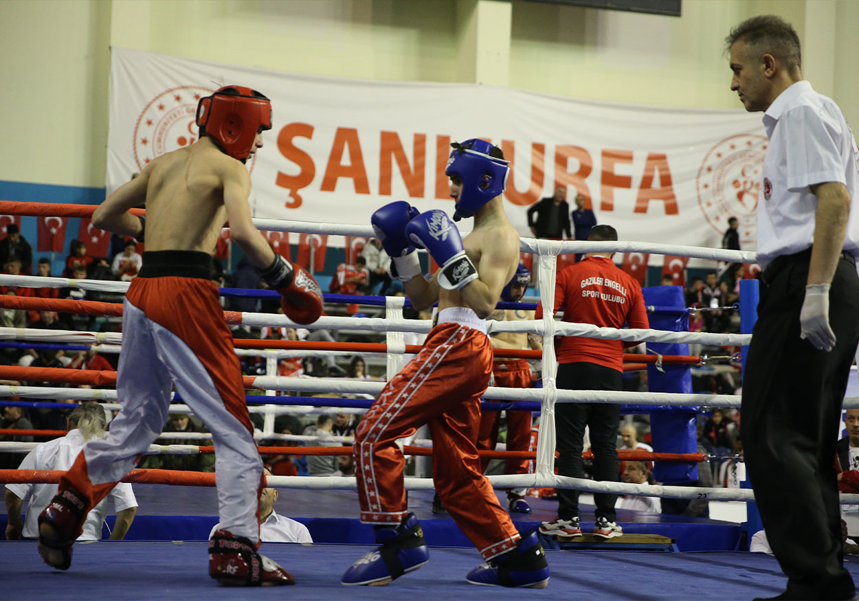 şanlıurfa-kick boks