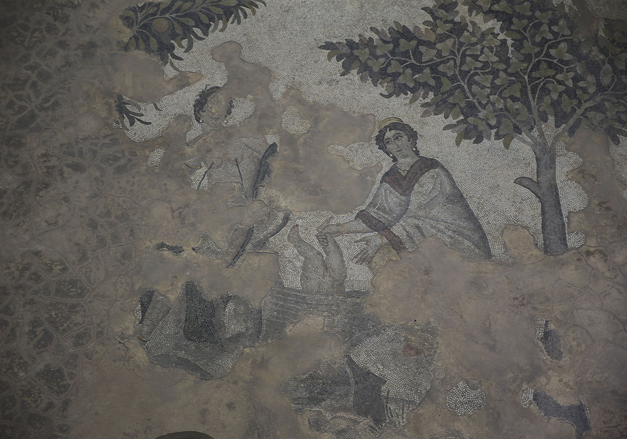savaşçı kadın-aşiya