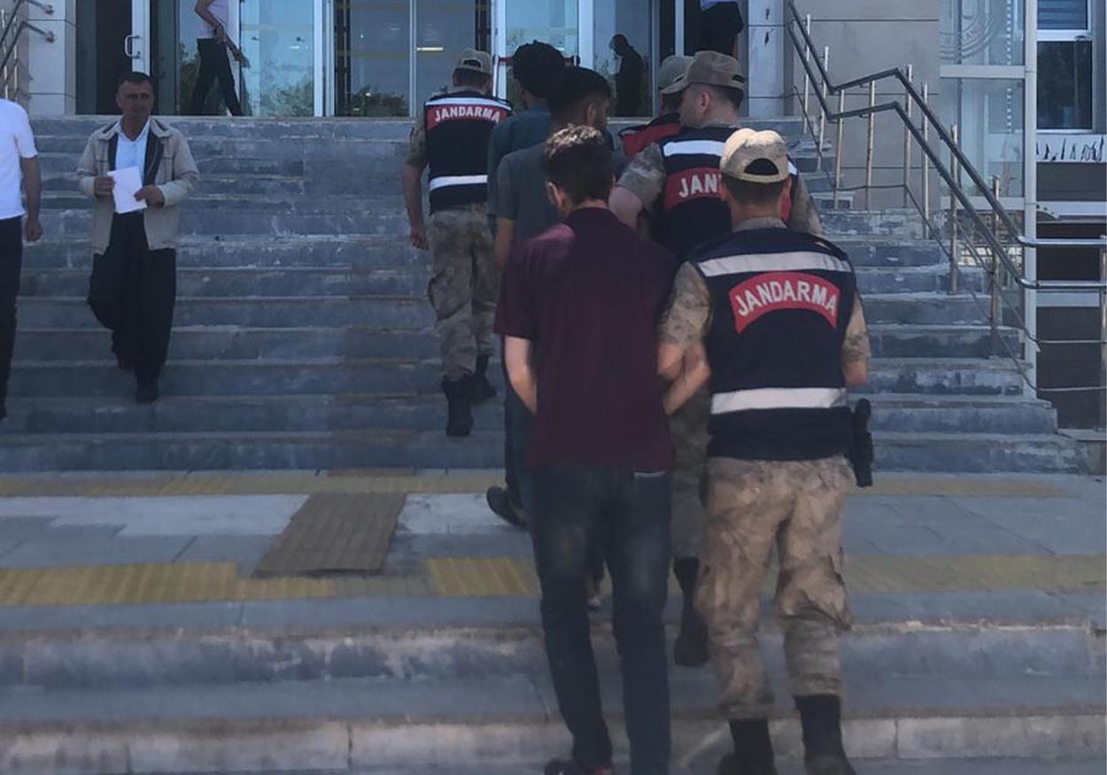 kablo fareleri yakalandı