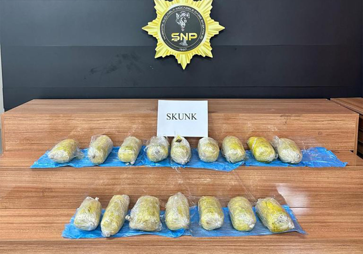 uyuş