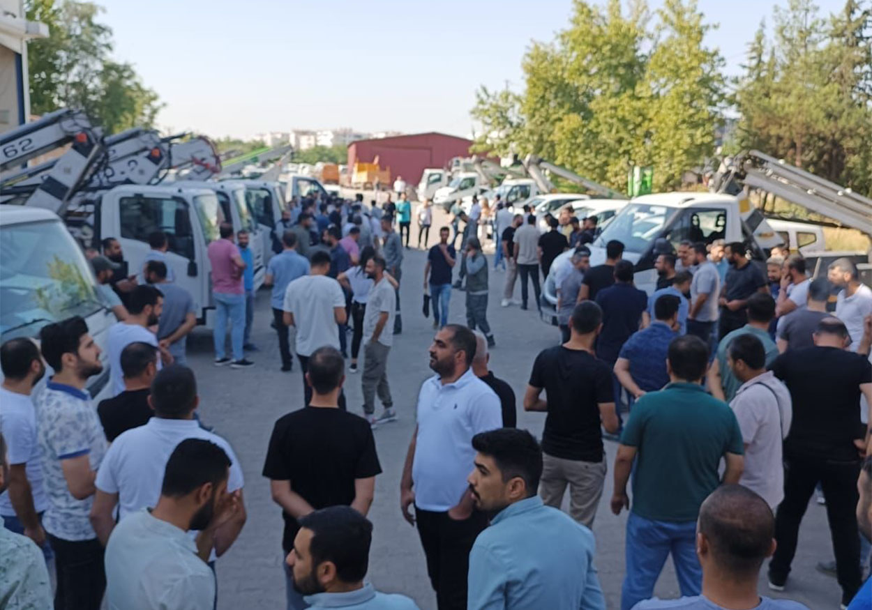 dicle