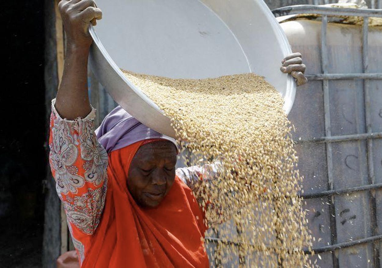 Tahıl Anlaşmasının Çökmesi Bir Gıda Krizine Yol Açar Mı? 2 tahıl anlaşması