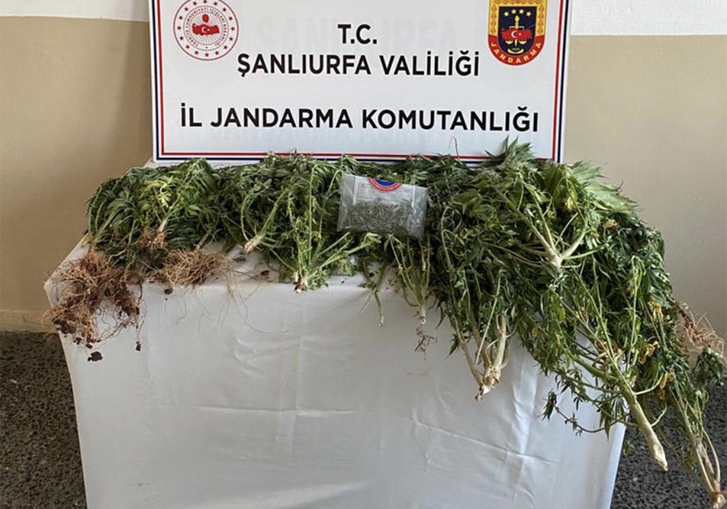 Şanlıurfa'da Uyuşturucu Operasyonları Hız Kesmiyor! 2 uyusturucu hint keneviri sanliurfa