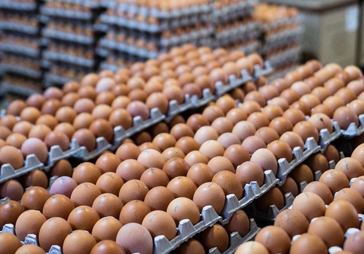 yumurta egg