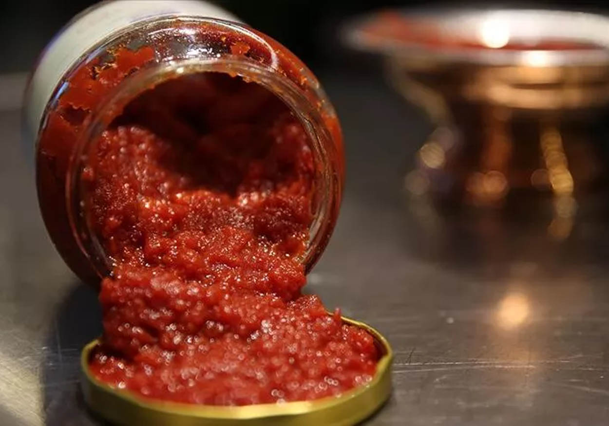 ev yapımı konserve salça